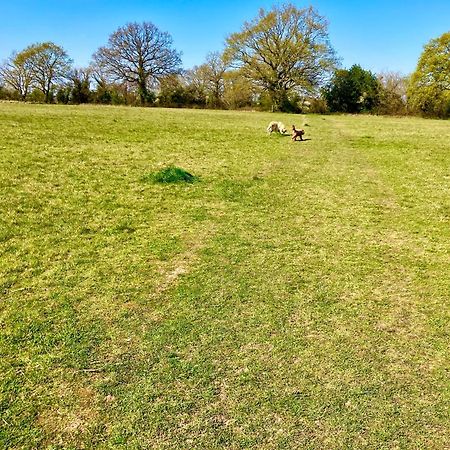 Elkstone Studio Private Hottub Pet Friendly Malvern المظهر الخارجي الصورة