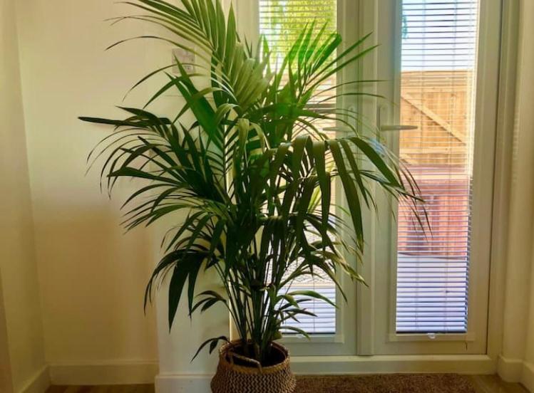 Elkstone Studio Private Hottub Pet Friendly Malvern المظهر الخارجي الصورة